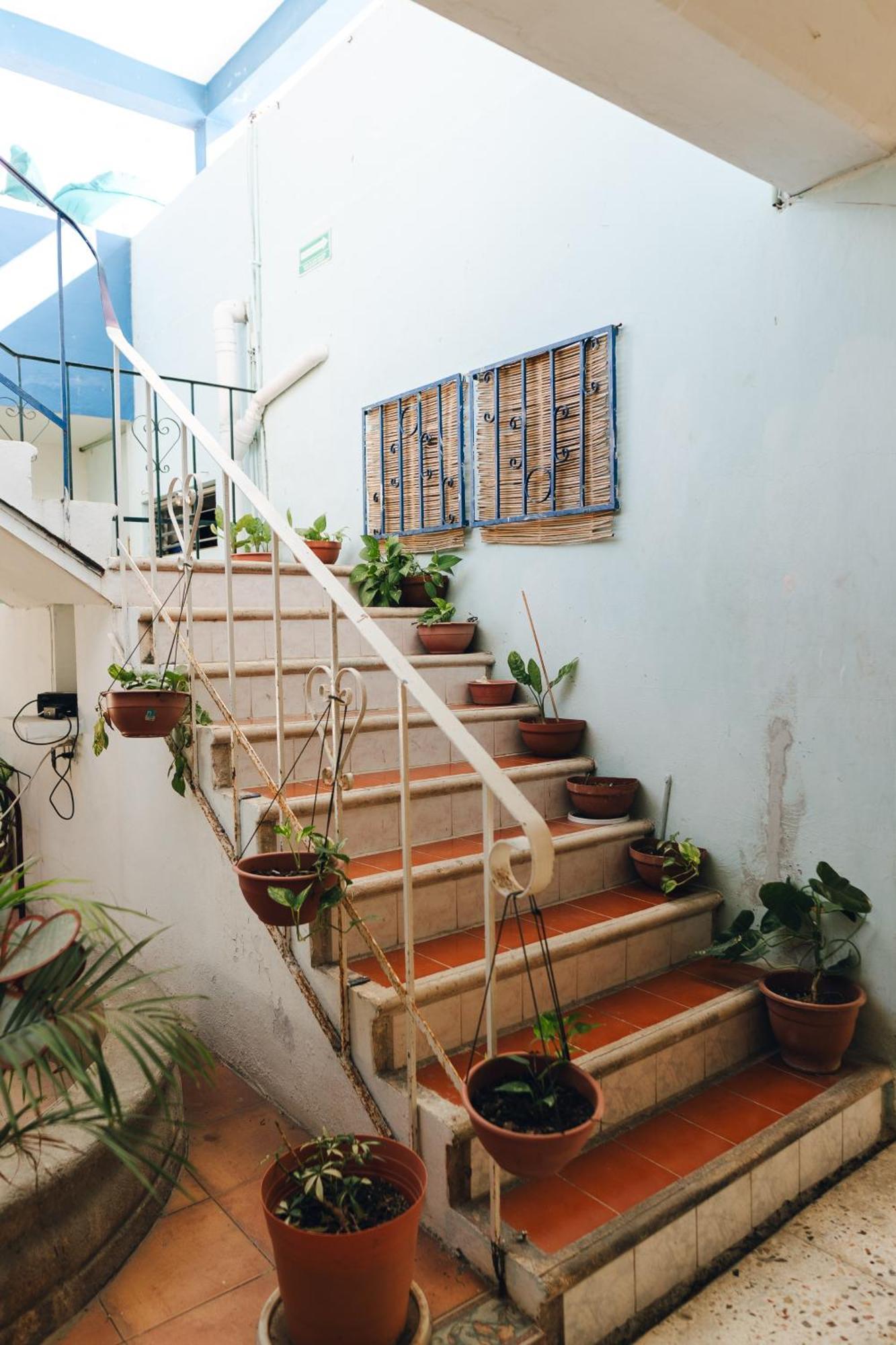 Hotel Posada Edem كوزوميل المظهر الخارجي الصورة