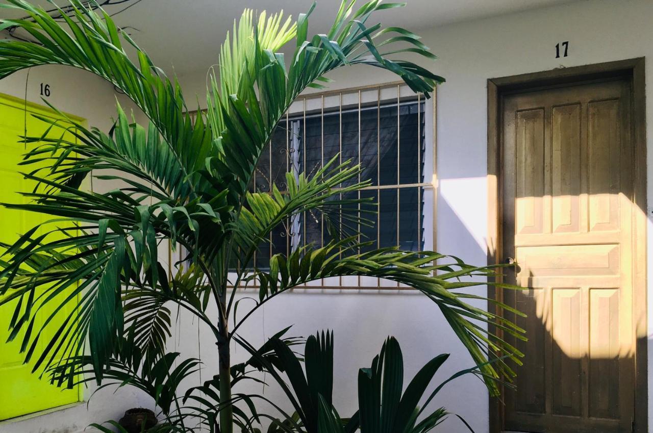 Hotel Posada Edem كوزوميل المظهر الخارجي الصورة